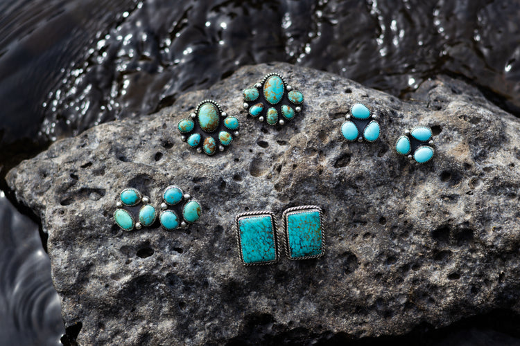 Desert Bloom Collection